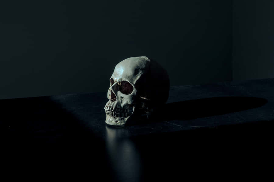 Lone Black Skeleton Wallpaper