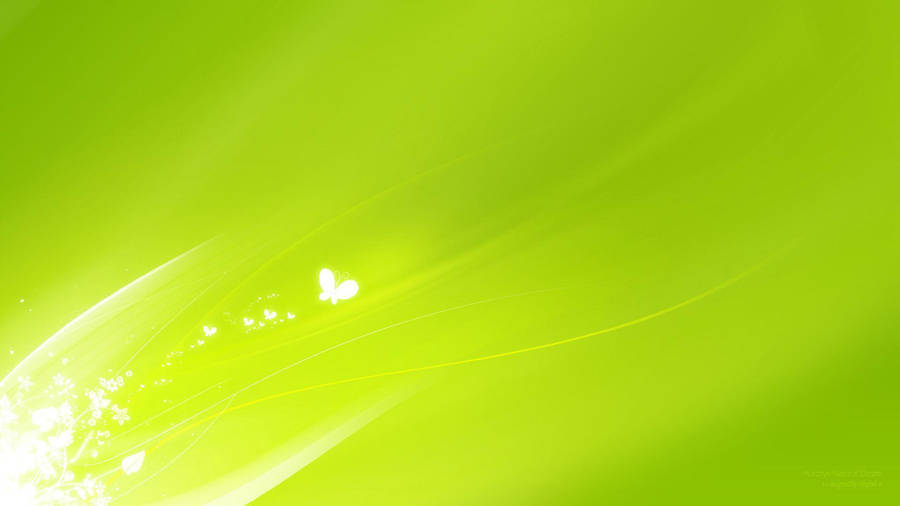 Lone Butterfly Light Green Wallpaper