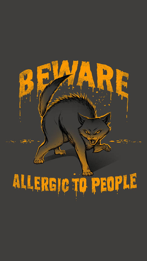 Lone Feral Cat, Symbolising Anti-social Behaviour Wallpaper