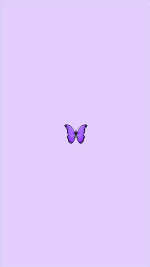 Look At The Cool Butterfly And Its Vibrant Coloring! Wallpaper