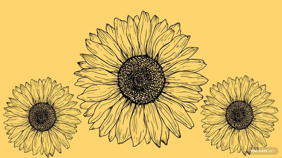 Look At This Beautiful Sunflower In Yellow And Pink Colors For A Wonderful Tumblr Aesthetic. Wallpaper