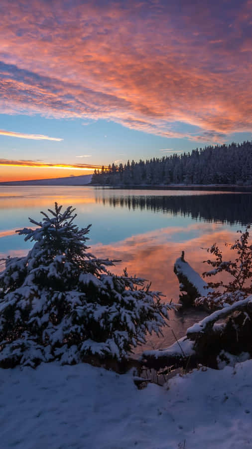 Look Into The Future To Seize The Moment Wallpaper