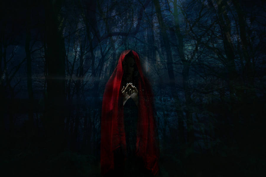 Lost In A Creepy Forest Of Red Hoods Wallpaper