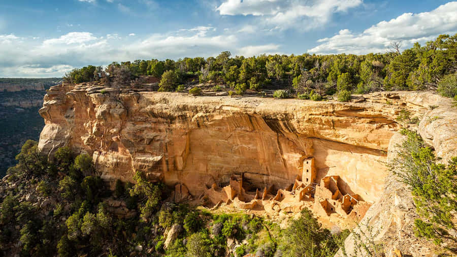 Lush Green Surrounding The Cliff Palace At Mesa Verde National Park Wallpaper