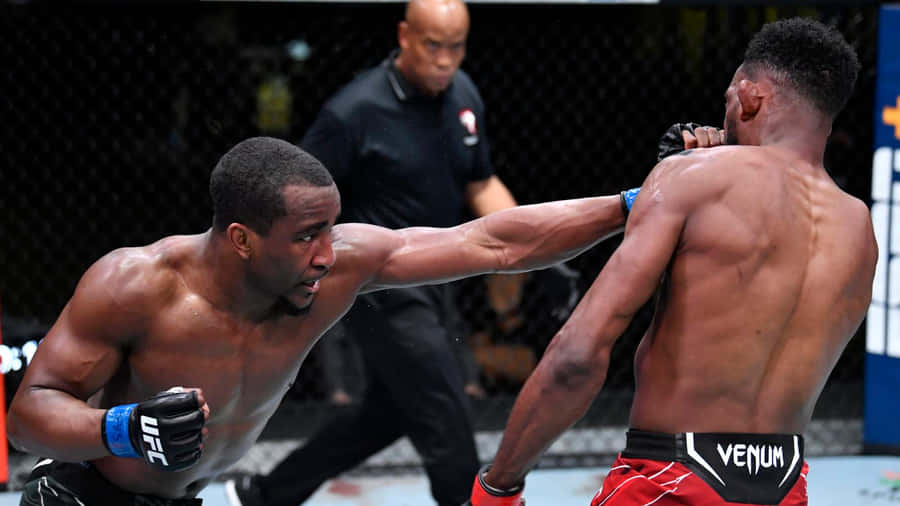 M M A Fight Action Geoff Neal Wallpaper