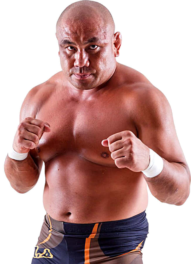 M M A Fighter Ready Stance Wallpaper