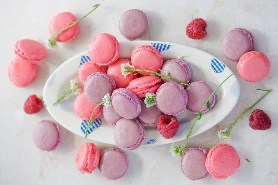 Macarons Pastel Pink Wallpaper
