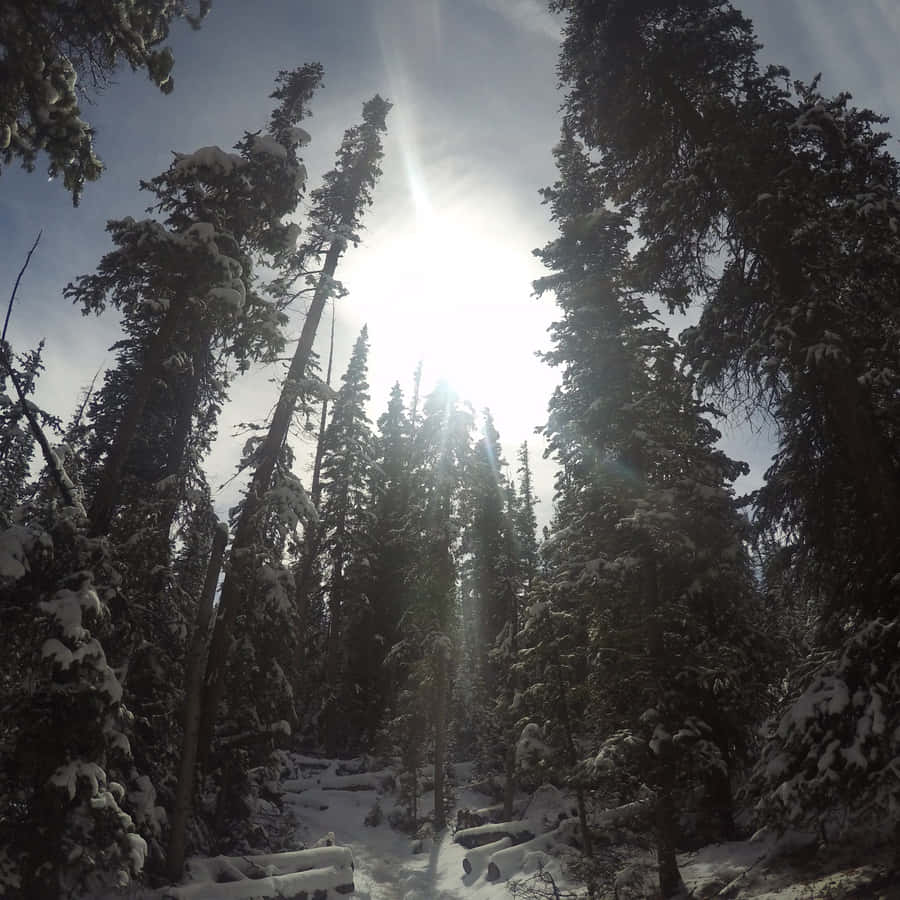 Magnificent Green Landscape Vista With Rolling Hills, Tree-filled Valleys And River Wallpaper