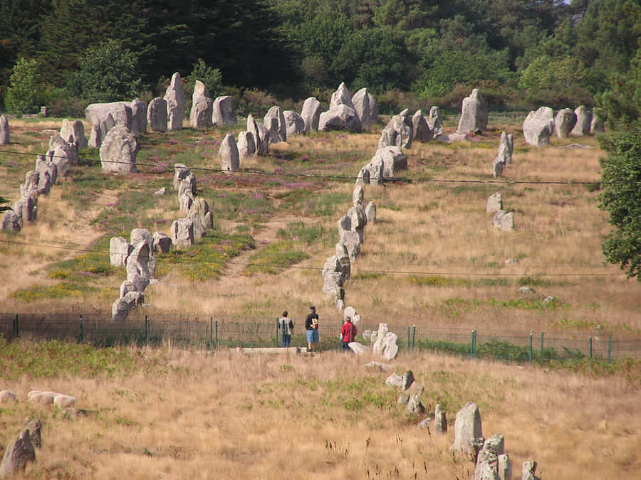 Majestic Bird's Eye View Of Carnac Stone Arrangements, France Wallpaper