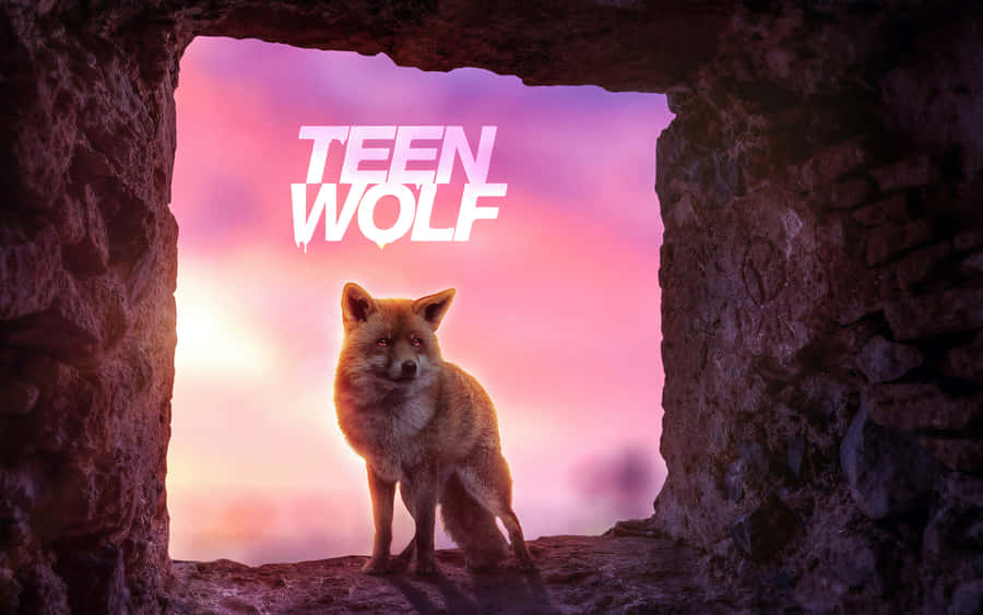 Majestic Pink Wolf Staring Into The Distance. Wallpaper