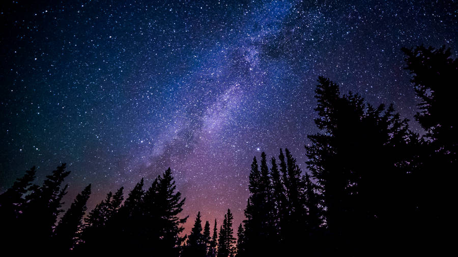 Majestic Starlit Sky Wallpaper