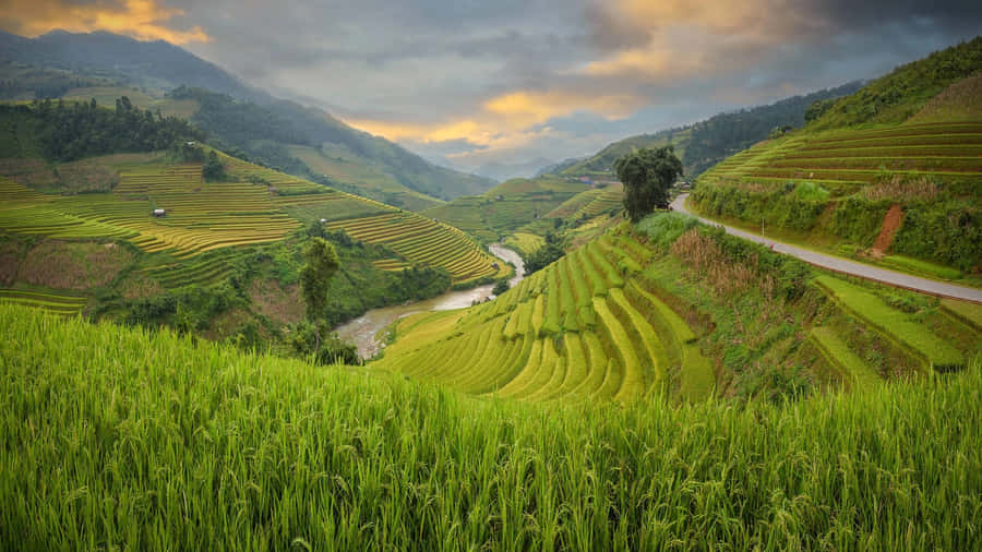 Majestic View Of Banaue Rice Terraces, Philippines Wallpaper