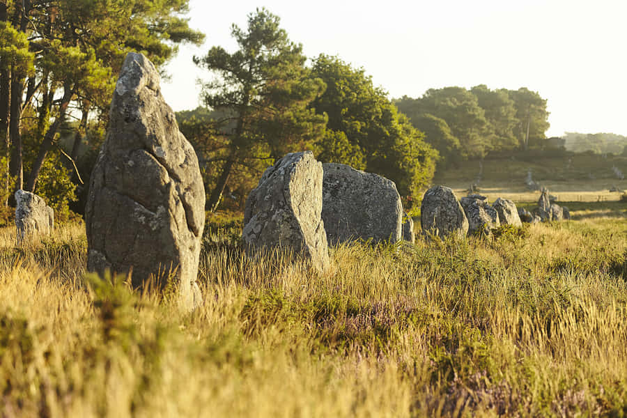Majestic View Of Carnac Standing Stones Wallpaper