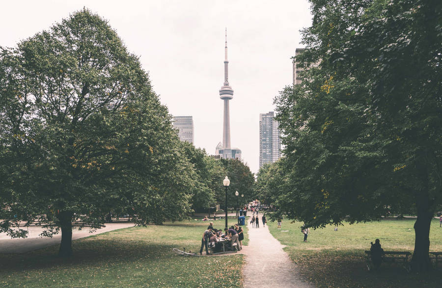 Majestic View Of Cn Tower From High Park Wallpaper