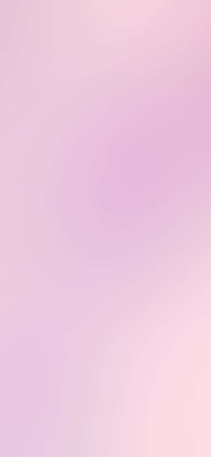 Make A Bold Statement With Solid Pink Wallpaper