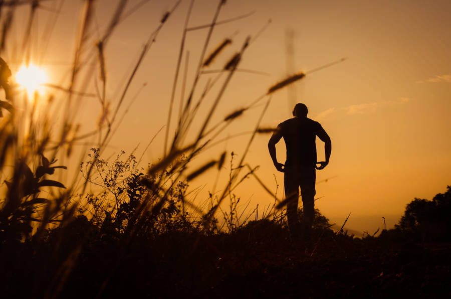 Man In A Field Sad 4k Wallpaper