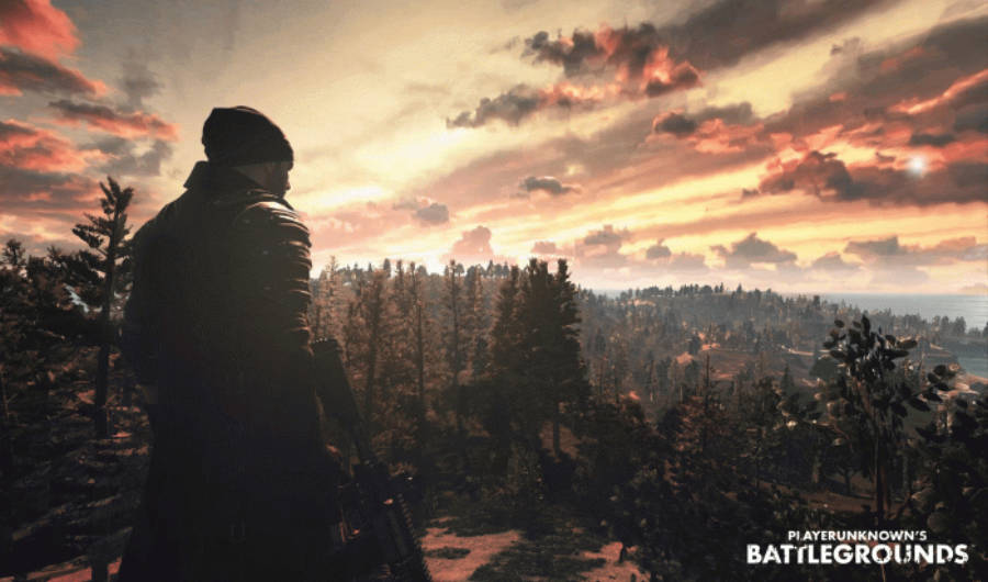 Man Looks Over Forest Pubg Banner Wallpaper