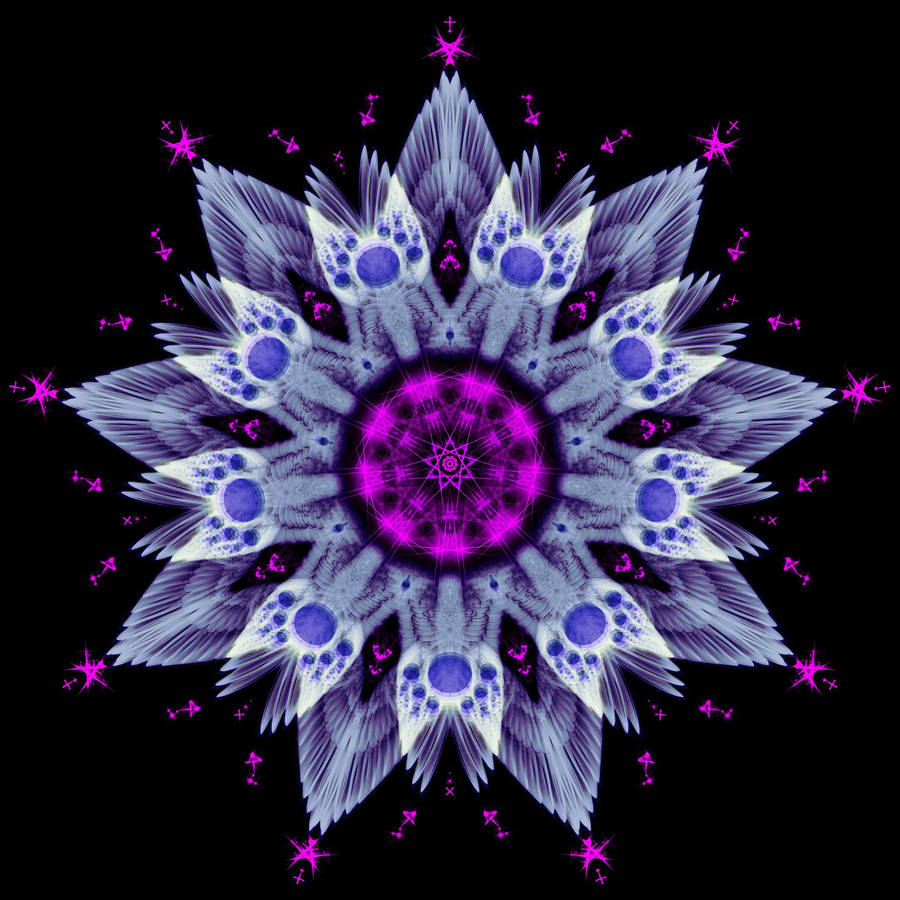 Mandala Purple Fractal Wallpaper
