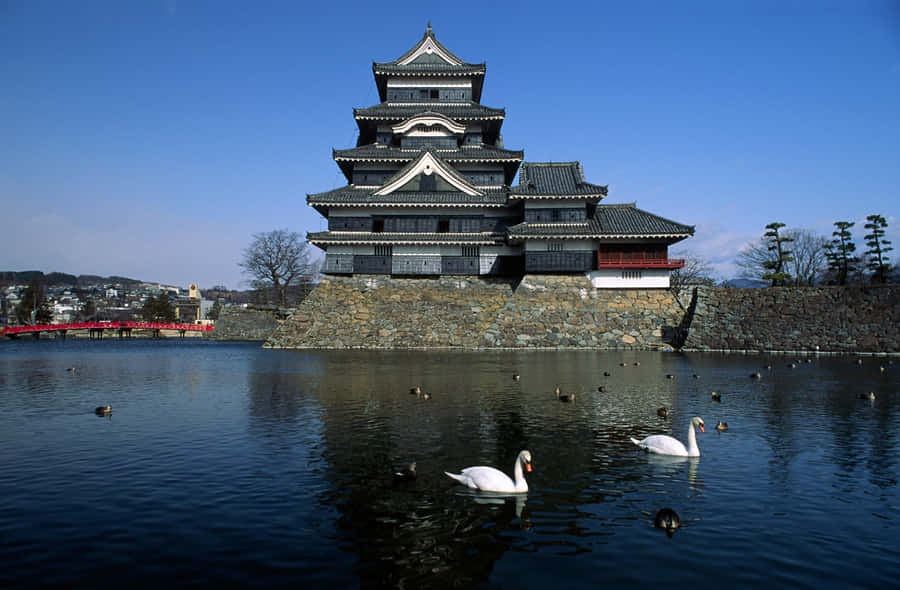 Matsumoto_ Castle_with_ Swans_ Japan Wallpaper