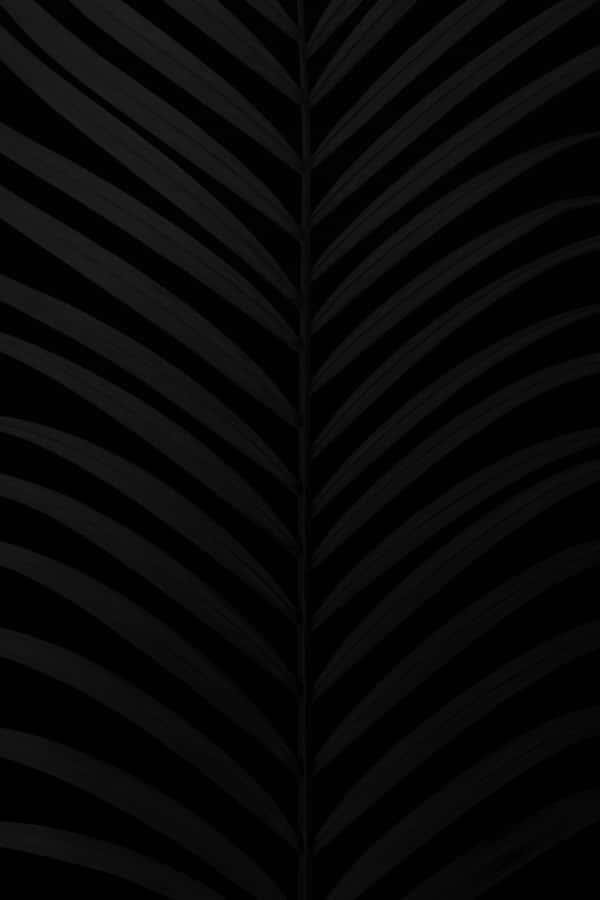 Matte Black Texture Background Wallpaper
