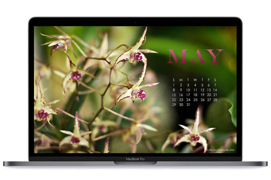 May 2022 Calendar 2000 X 1328 Wallpaper
