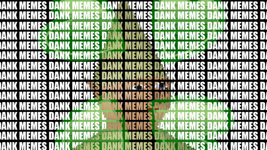 Meme-250973 Wallpaper