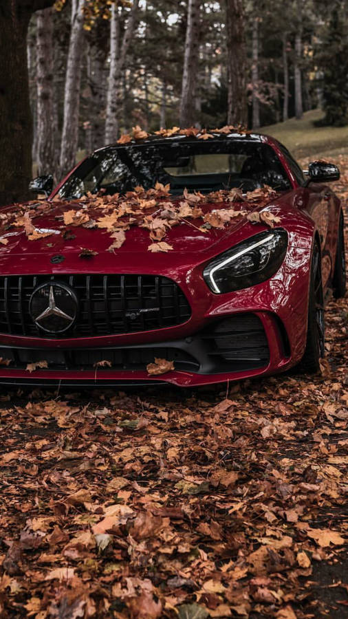 Mercedes Amg Autumn Iphone Wallpaper
