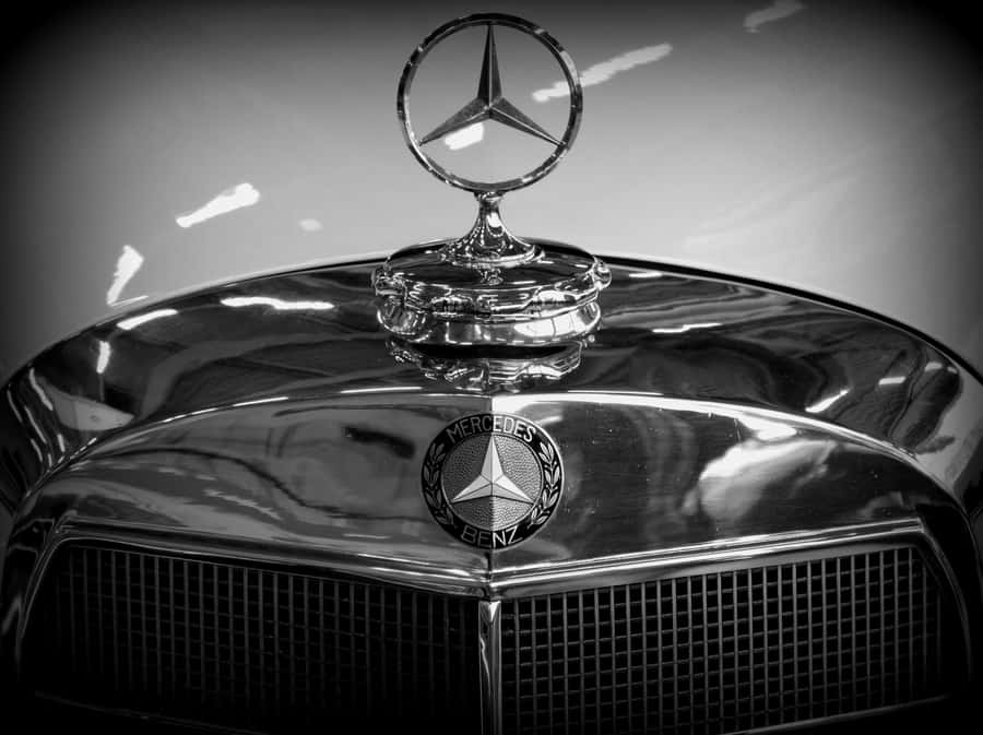 Mercedes Benz Hood Ornament Wallpaper