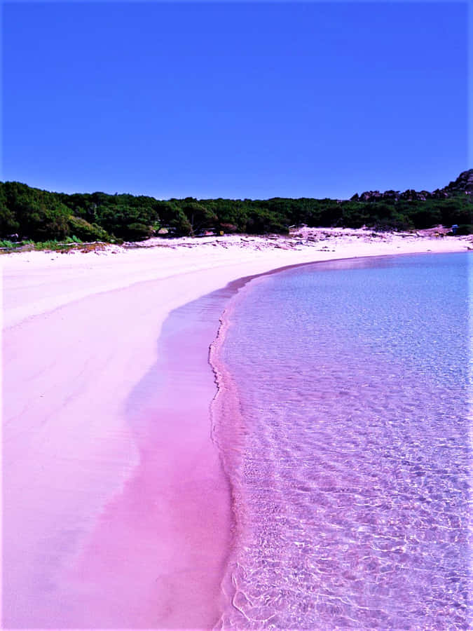 Mesmerizing Pink Beach - A Unique Tropical Paradise Wallpaper