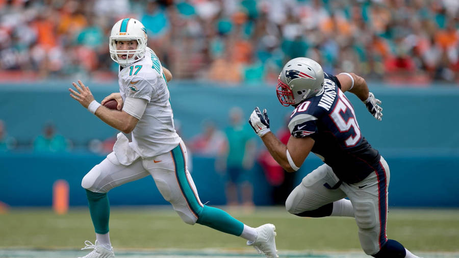 Miami Dolphins Chase Wallpaper