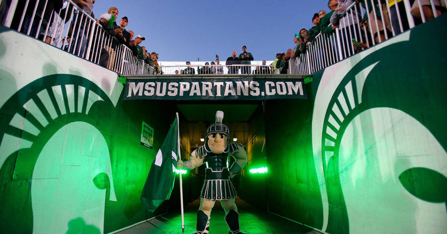 Michigan State University's Spartan Mascot In Action Wallpaper