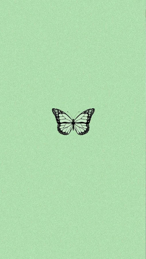 Minimalist Butterfly Mint Green Iphone Wallpaper