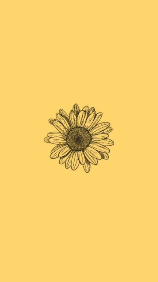 Minimalist Sunflower Art Iphone Wallpaper