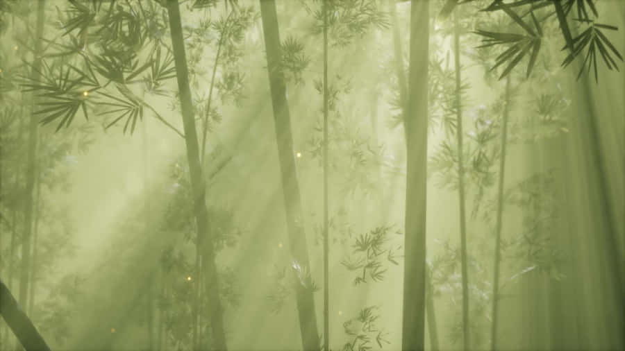 Misty_ Bamboo_ Forest_ Glow Wallpaper