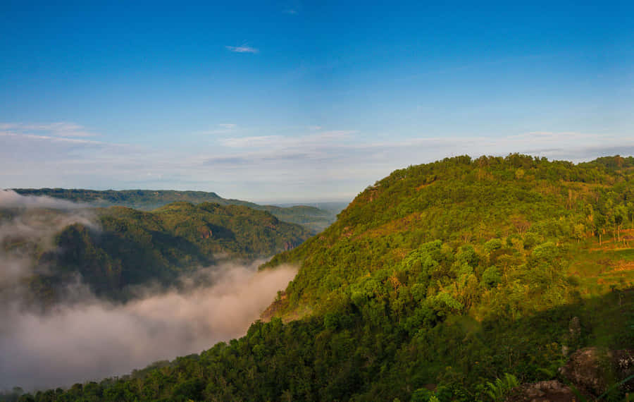 Misty Mountain Morning_4k U W.jpg Wallpaper