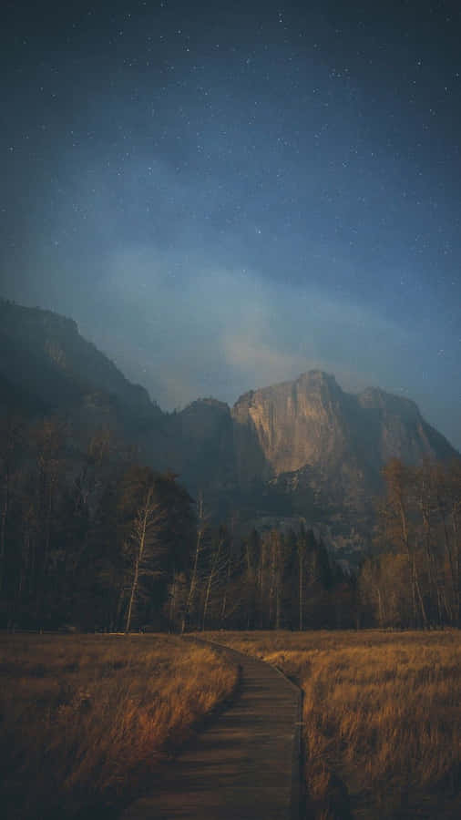 Mobile Phone Forest Natural Background Wallpaper