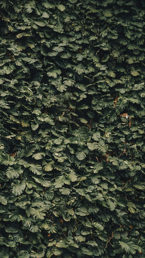 Modern Style For Slick New Look Wallpaper