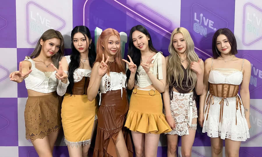 Momoland Group Pose Purple Backdrop Wallpaper