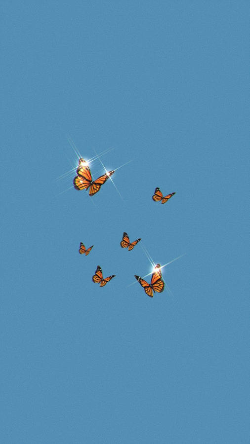 Monarch Butterfly Aesthetic Wallpaper