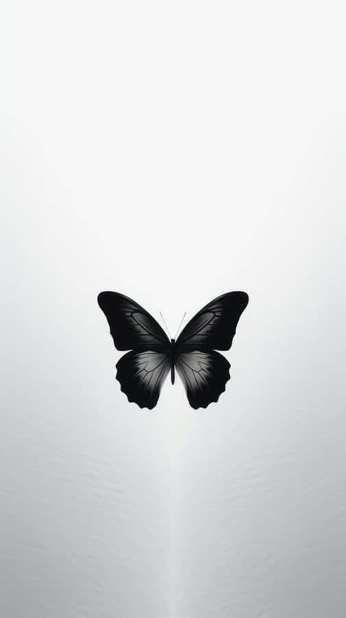 Monochrome Butterfly Silhouette Wallpaper