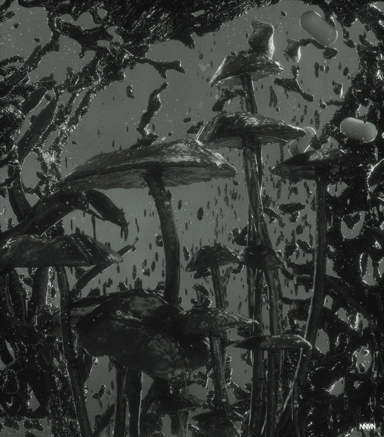 Monochrome Mushroom Painting Wallpaper