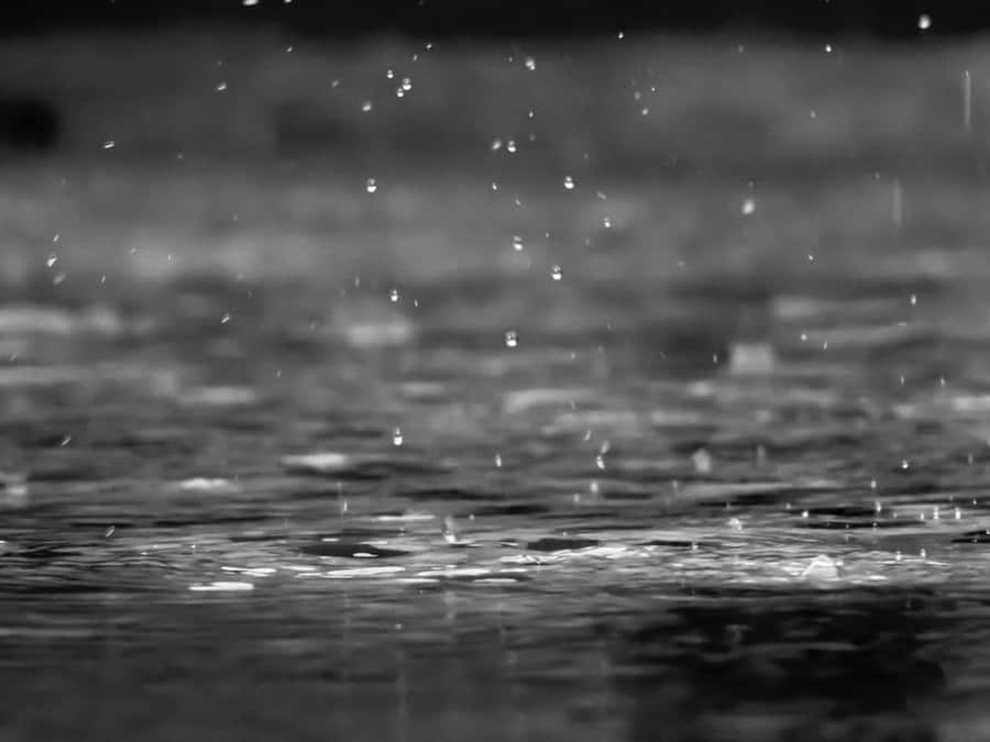 Monochrome_ Raindrops_ Impact_ Water_ Surface Wallpaper