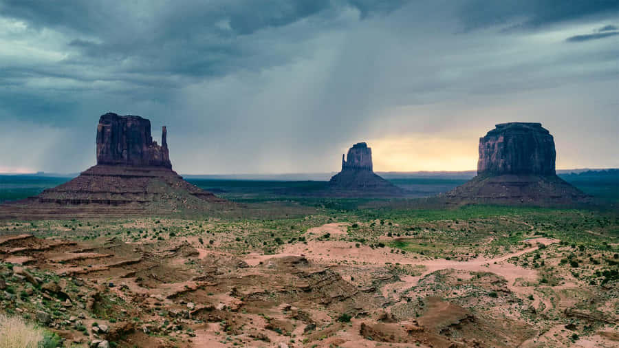 Monument Valley Navajo Tribal Park Plants Wallpaper