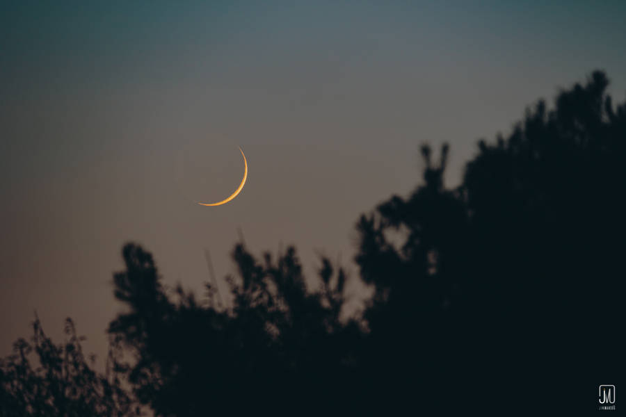 Moon 5553 X 3702 Wallpaper