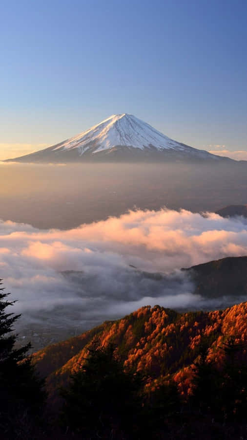 Mount Fuji Above The Clouds Wallpaper