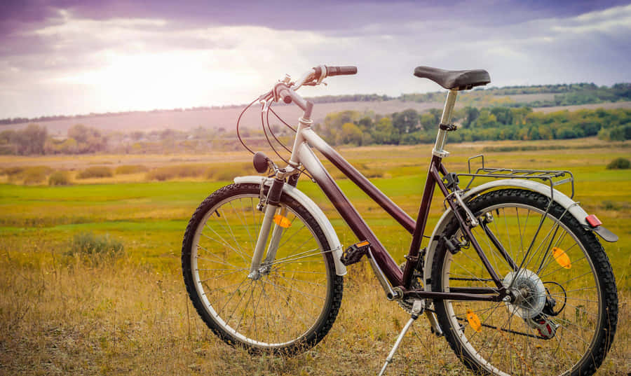 Mountain Bike Sunset Field Wallpaper