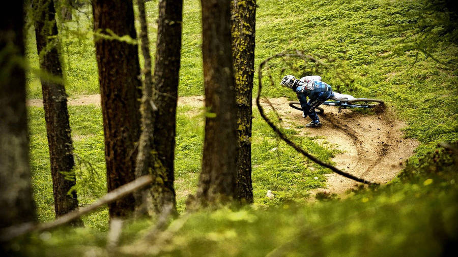 Mtb Rider Slippery Forest Trail Wallpaper