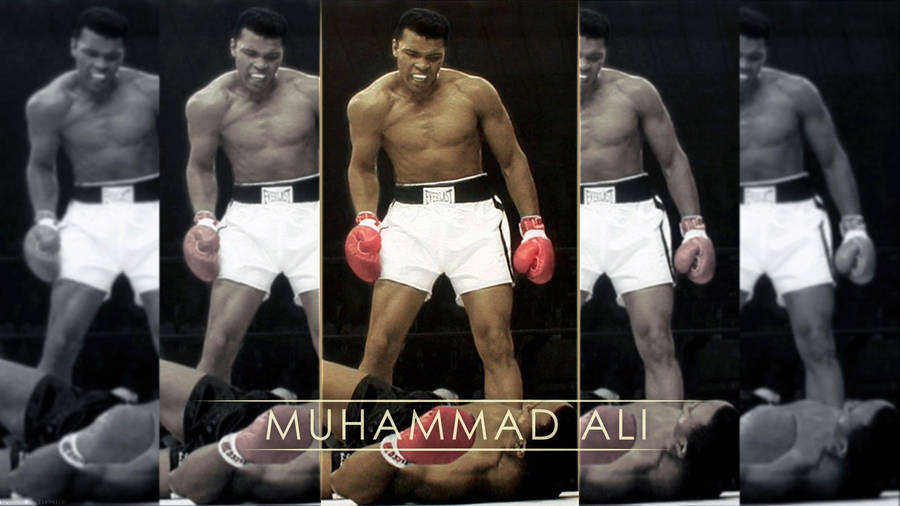 Muhammad Ali Victorious After First Minute Knockout Wallpaper