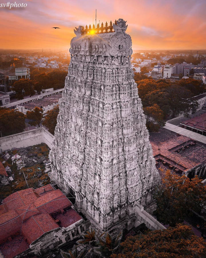 Murugan Temple With Eagle Wallpaper