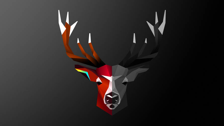 Mysterious Half-colored Deer Head Art Wallpaper